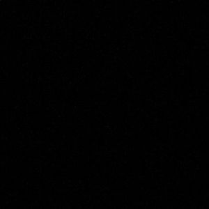 Meet your Posher, Maya